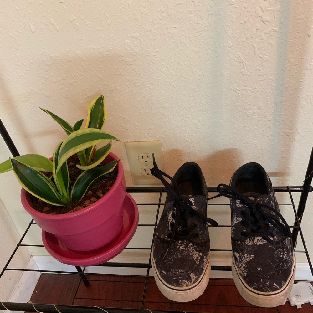 Nike Stefan Janoski